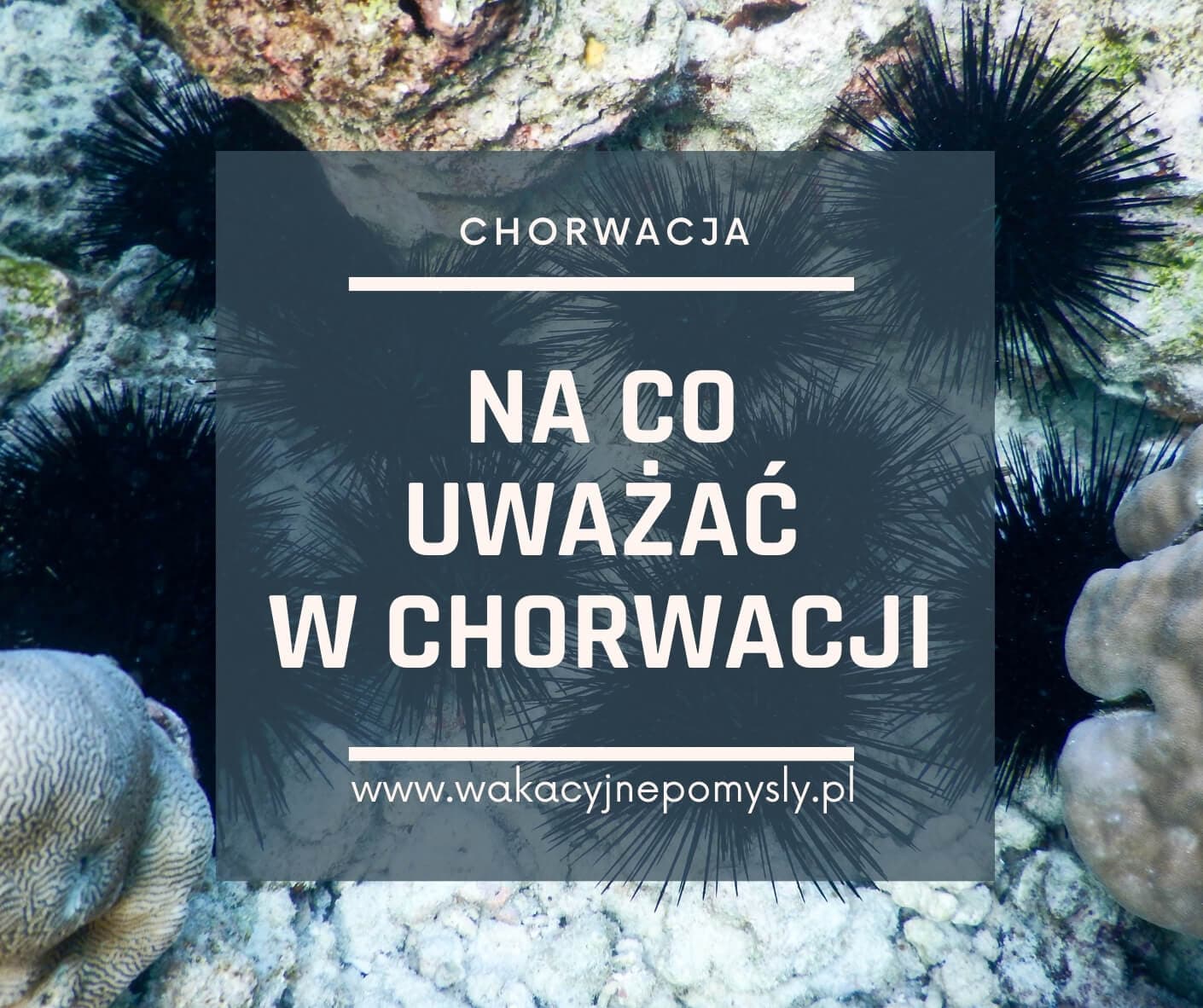 Na Co Uważać w Chorwacji? Praktyczne Porady dla Turystów