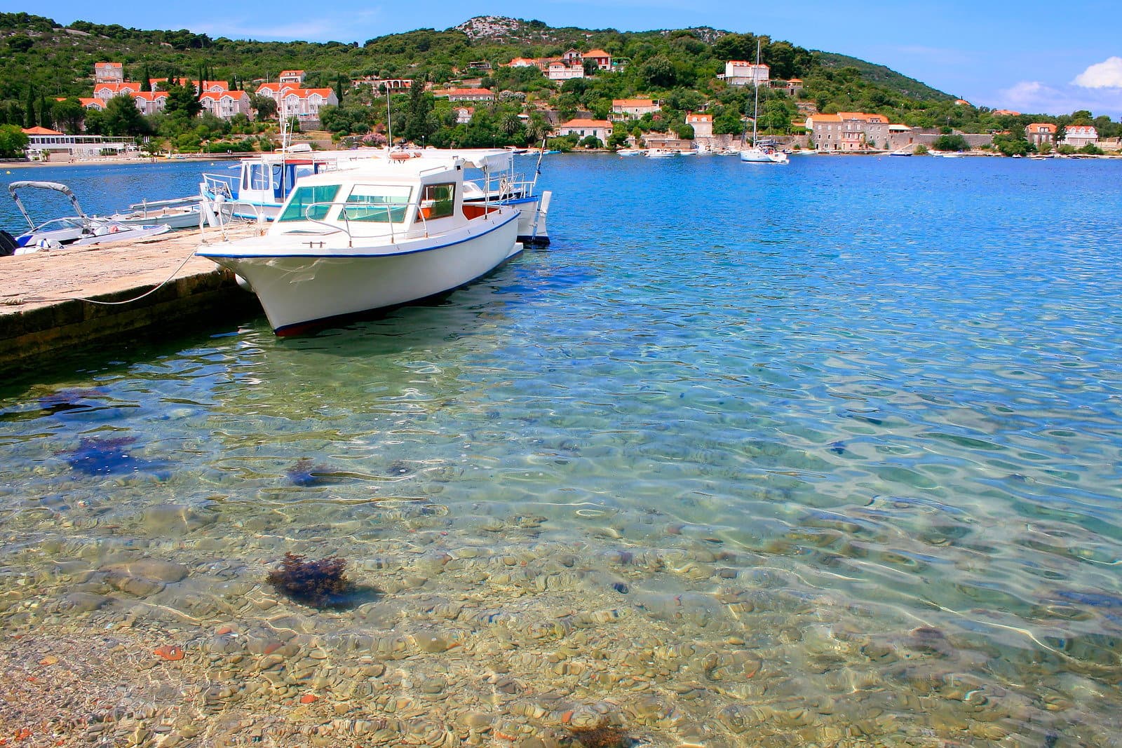 Dubrownik: rejs statkiem na wyspy Elafickie z lunchem - 8