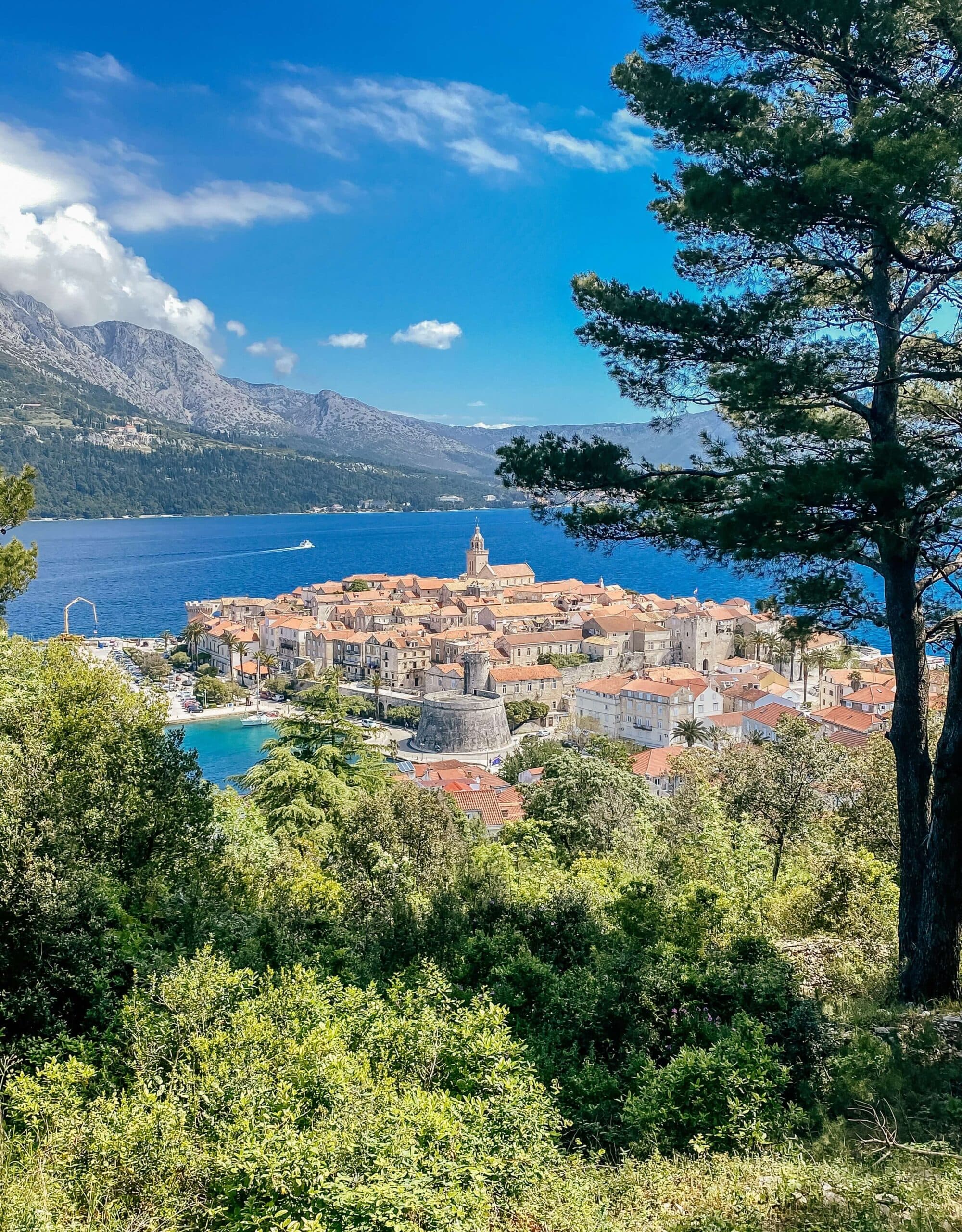 Podgora / Tučepi: całodzienny rejs statkiem do Korčuli (opcja z lunchem) + darmowy parking - 4