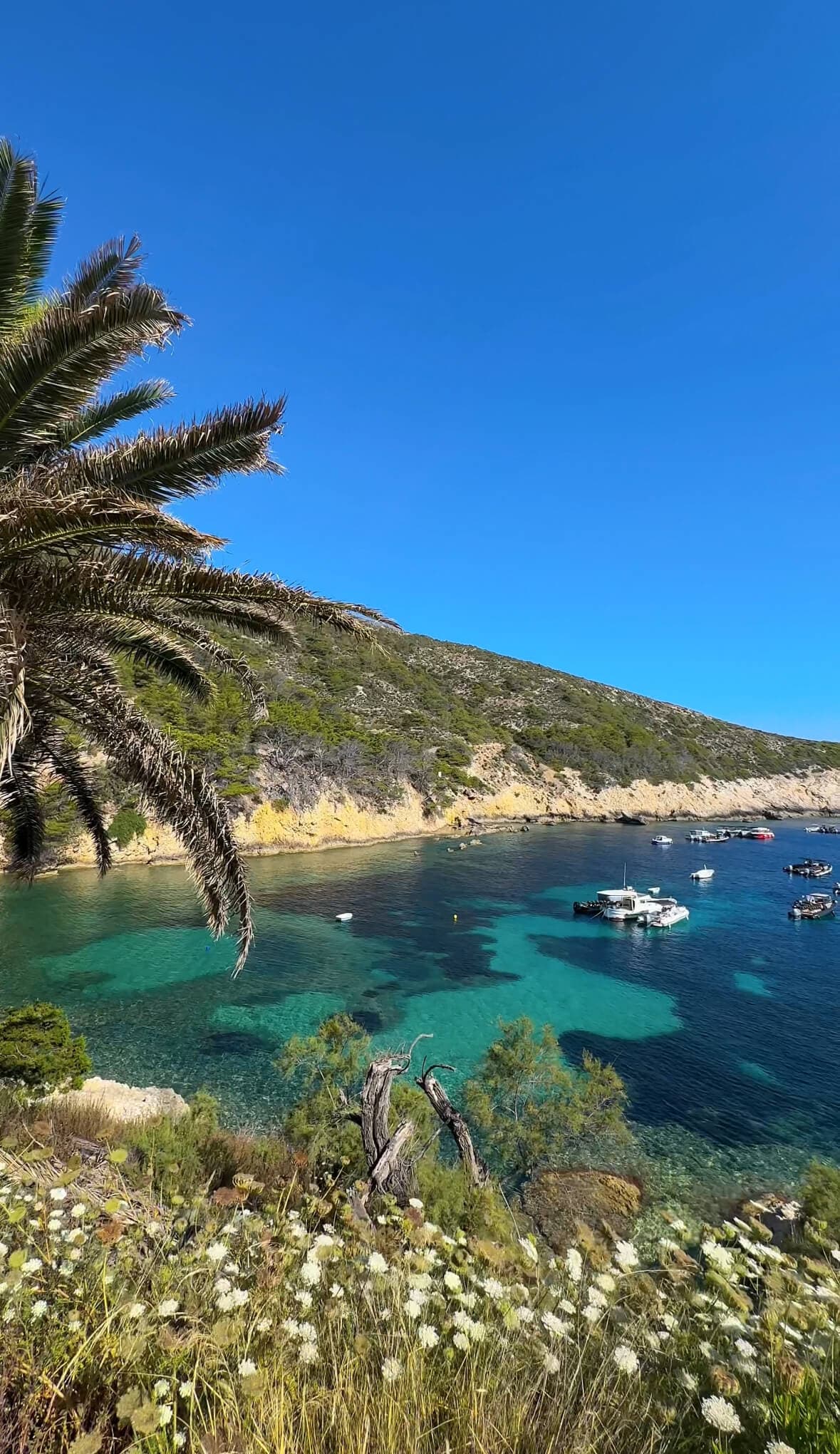 Split: Rejs łodzią motorową do Błękitnej Jaskini (Blue Cave) + wyspy - 9