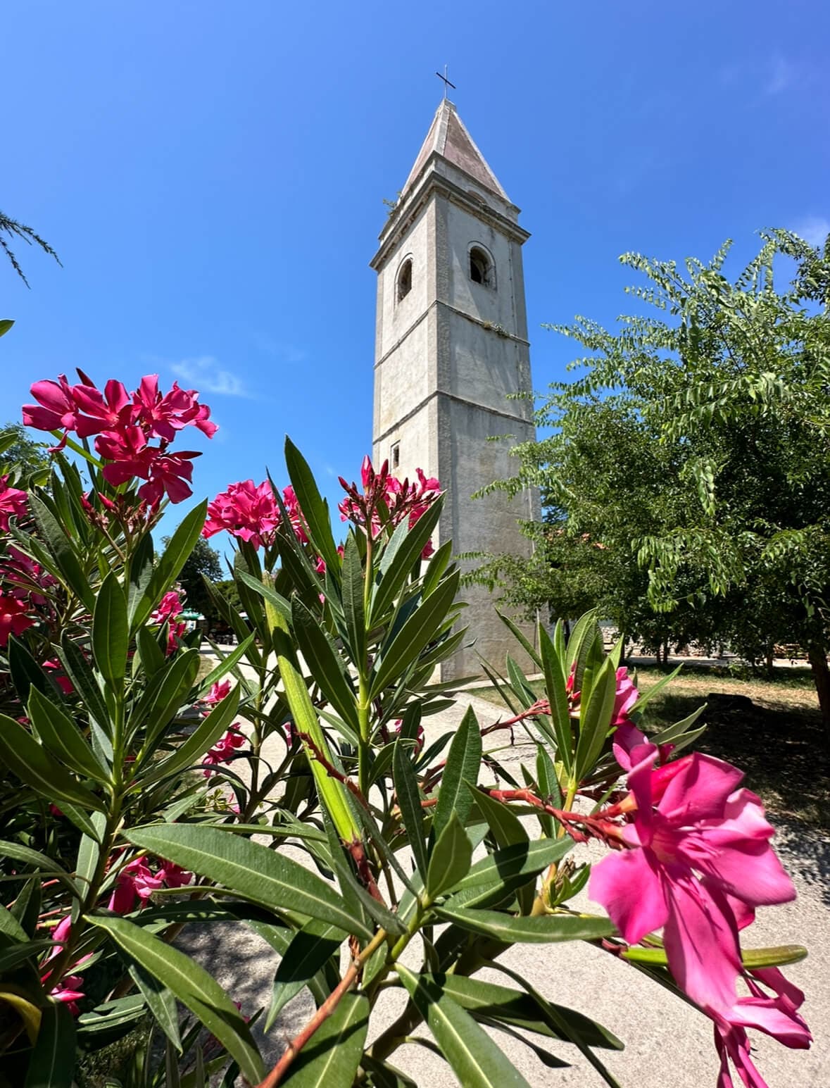 Zaton i Vir: Wyjątkowy rejs statkiem na wyspę Silba z lunchem i napojami - 8