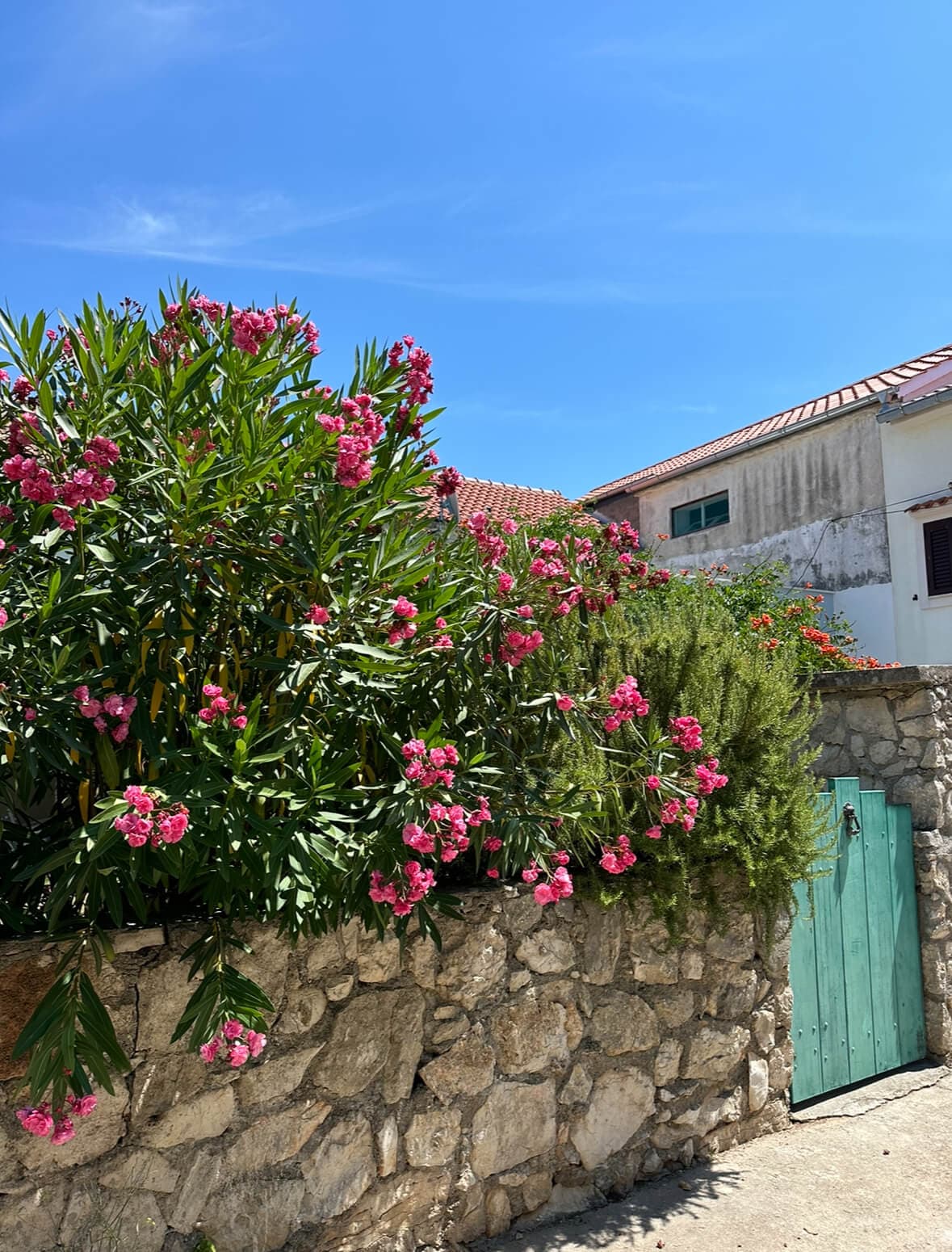 Zaton i Vir: Wyjątkowy rejs statkiem na wyspę Silba z lunchem i napojami - 14