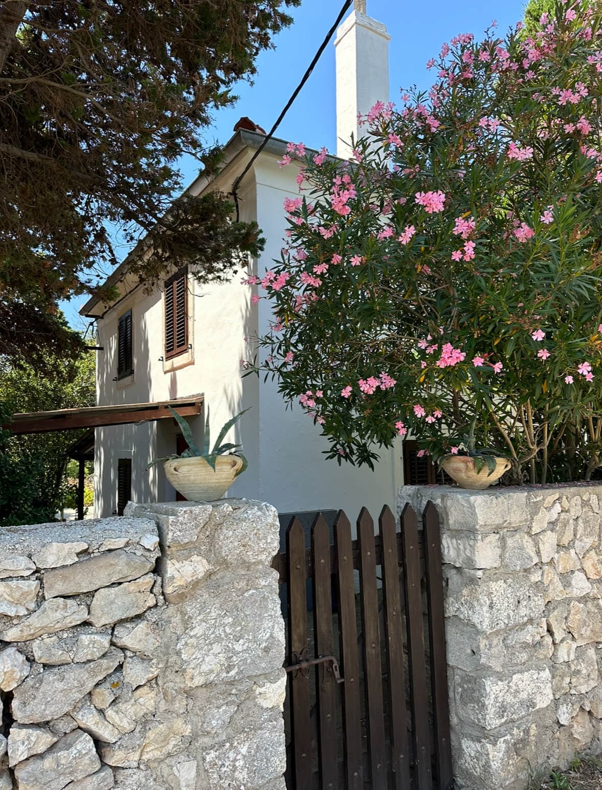 Zaton i Vir: Wyjątkowy rejs statkiem na wyspę Silba z lunchem i napojami - 12