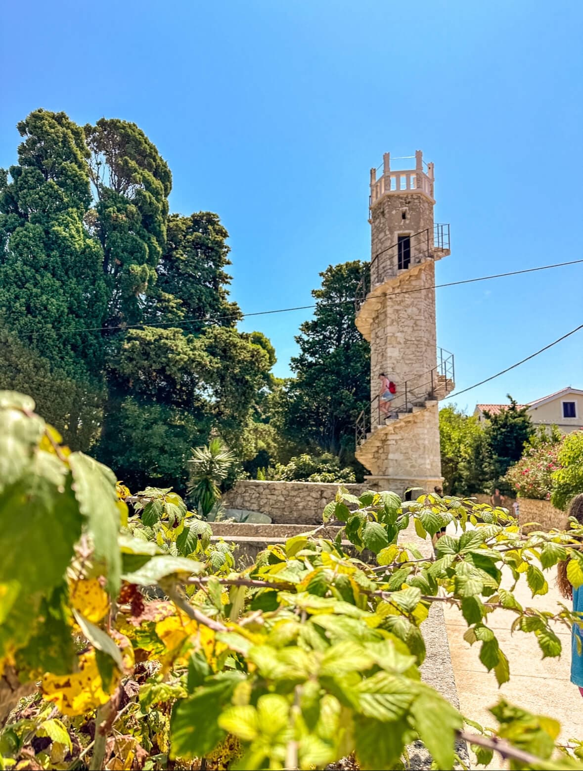 Zaton i Vir: Wyjątkowy rejs statkiem na wyspę Silba z lunchem i napojami - 5