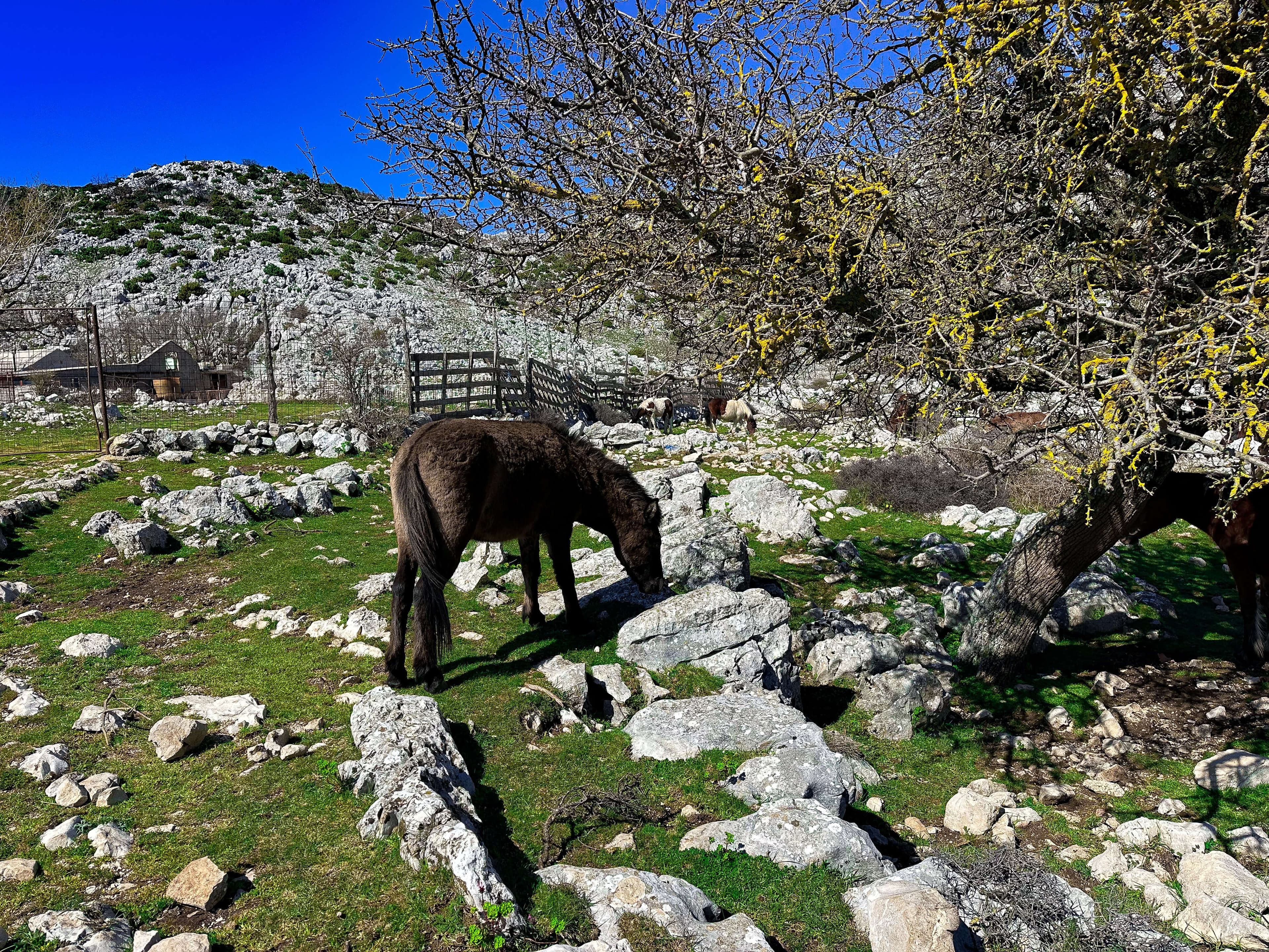 Makarska: Skywalk dla aktywnych - szklany taras i Vošac po polsku - 13