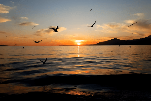 Omiš - Wieczorny rejs statkiem na zachód słońca z kolacją  - 4