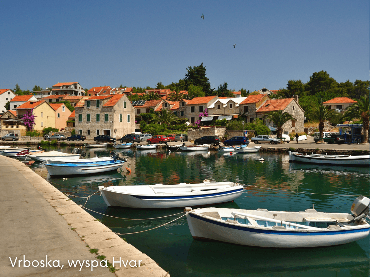 Podgora / Tučepi: Rejs statkiem na wyspy Hvar (Vrboska) i Brač (Bol) z lunchem (+ darmowy parking) - 6