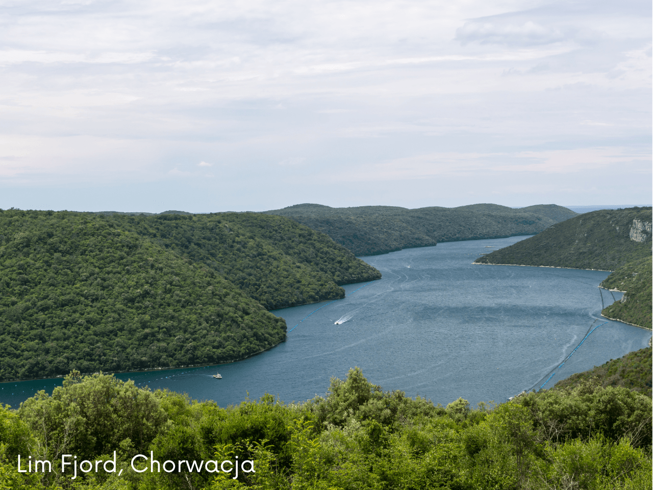 Poreč: rejs do Rovinj, Vrsaru i Lim Fjord z lunchem - 5