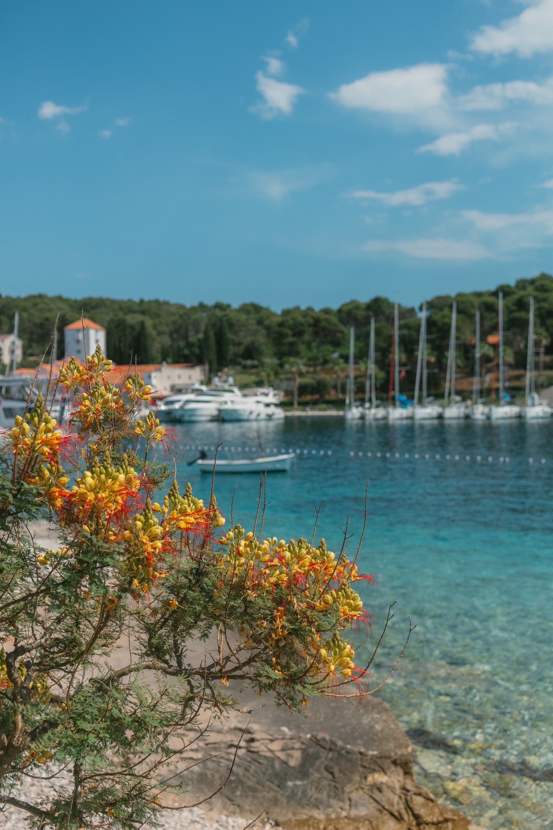 Trogir: Rejs statkiem do Błękitnej Laguny (Blue Lagoon z lunchem) - 3 przystanki - 15