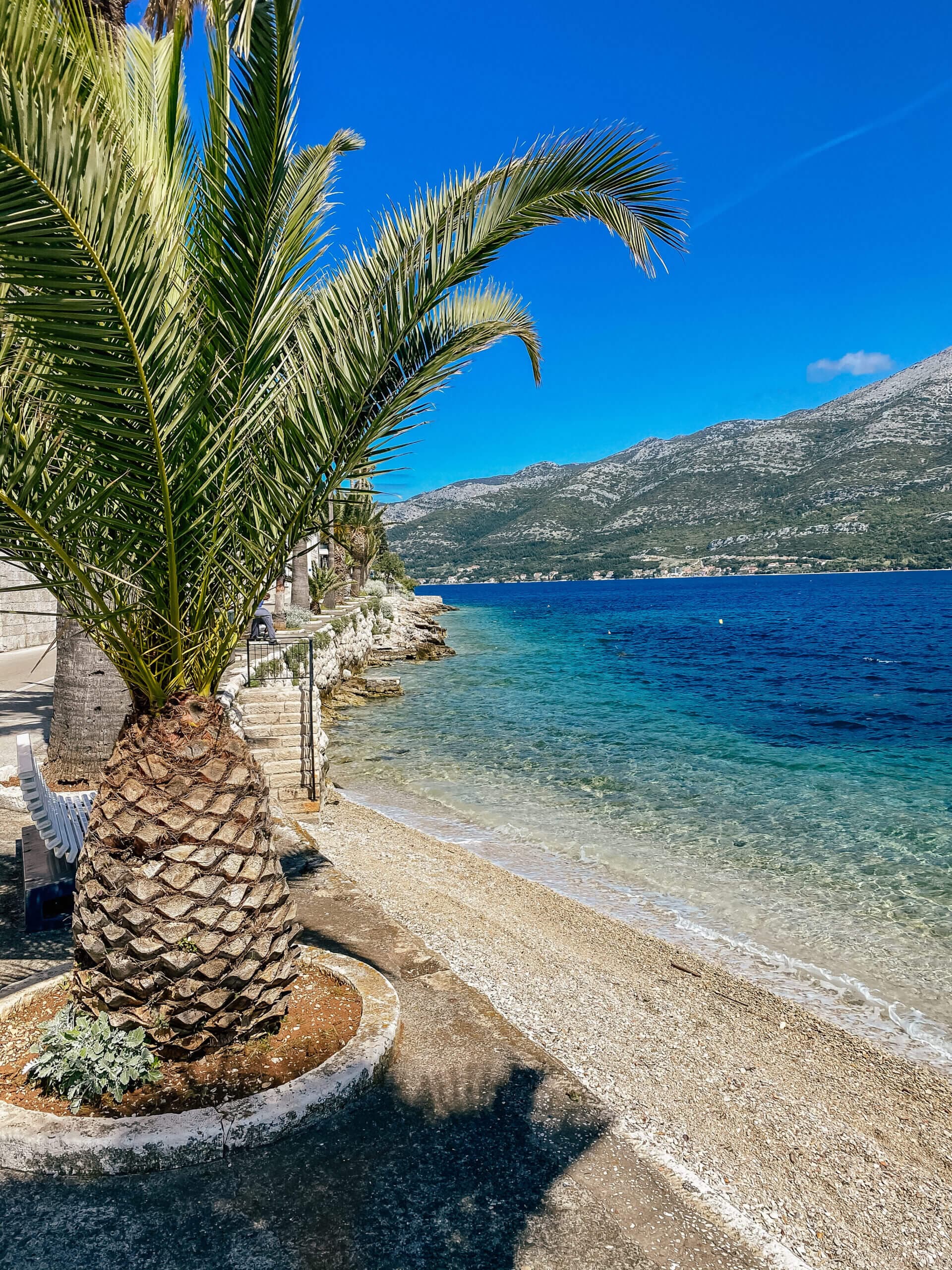 Podgora / Tučepi: całodzienny rejs statkiem do Korčuli (opcja z lunchem) + darmowy parking